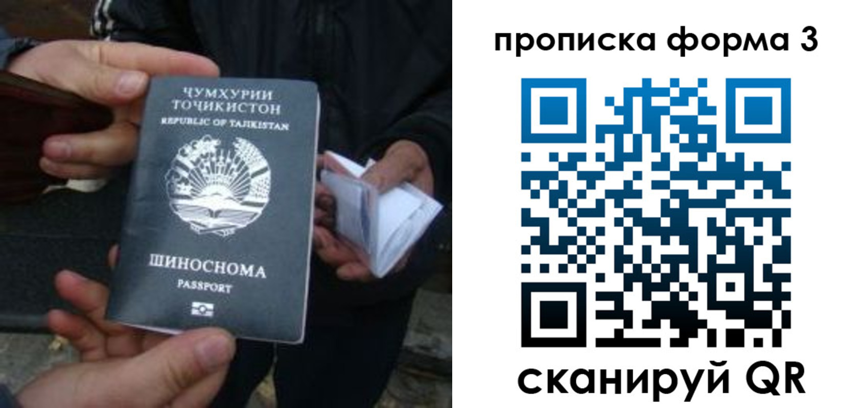 прописка 2025 в Котовске
